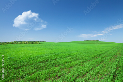 Fototapeta natura piękny pejzaż łąka wieś