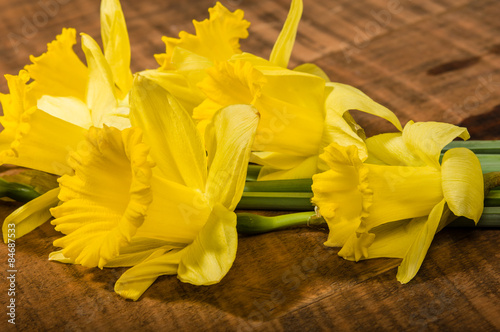 Plakat Yellow daffodil flowers on the table