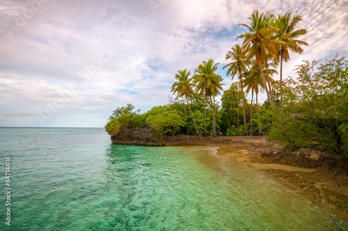 Naklejka drzewa tropikalny egzotyczny plaża wyspa