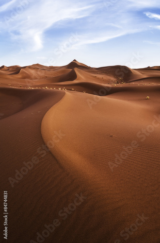 Naklejka pustynia wydma ugier