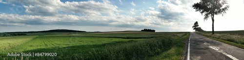 Fototapeta panorama drzewa widok