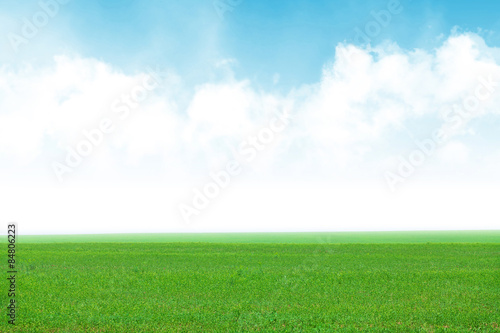 Plakat roślina słońce trawa niebo wieś