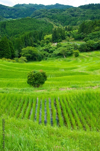 Plakat azja natura pejzaż japonia