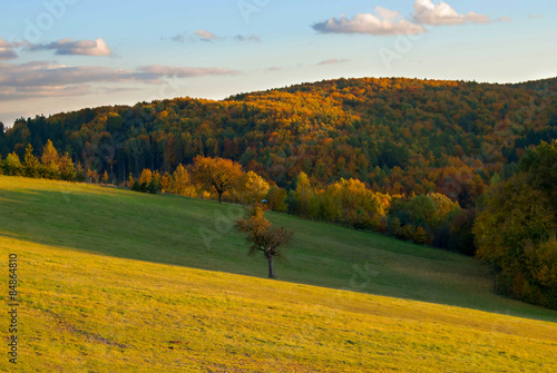 Obraz na płótnie łąka jesień las