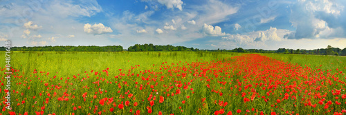 Fotoroleta widok kwiat wiejski panorama wieś