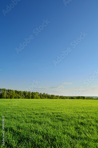 Plakat rolnictwo łąka natura trawa lato