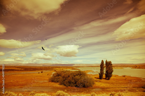 Plakat pejzaż trawa natura pustynia