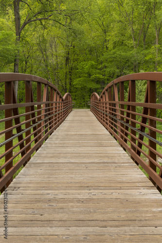 Obraz na płótnie most las drzewa park