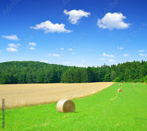 Plakat pejzaż pole rolnictwo żniwa natura