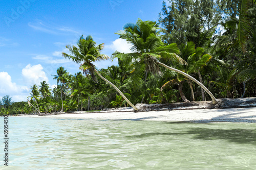 Plakat dominikana plaża niebo karaiby raj