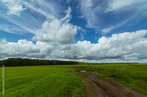 Fotoroleta polana droga rolnictwo niebo natura