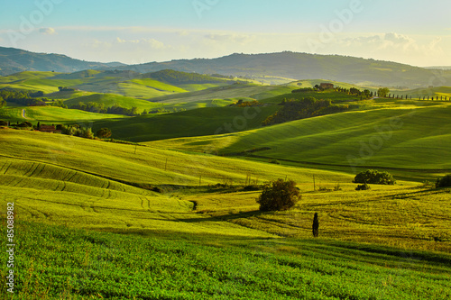 Fotoroleta spokój włoski rolnictwo krajobraz pejzaż