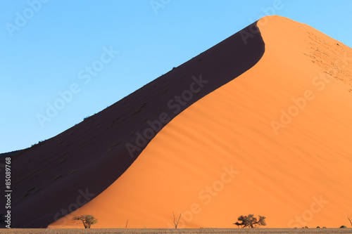 Fotoroleta Dune 45