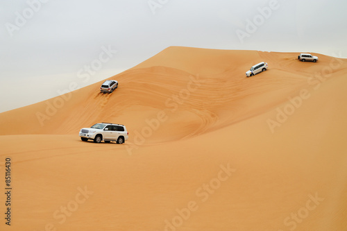 Naklejka zabawa natura wyścig wydma arabski