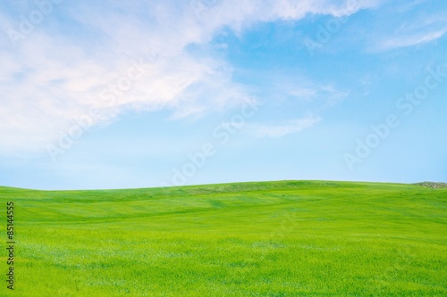 Obraz na płótnie trawa wzór łąka