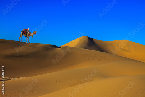 Naklejka wydma transport natura bezdroża pustynia