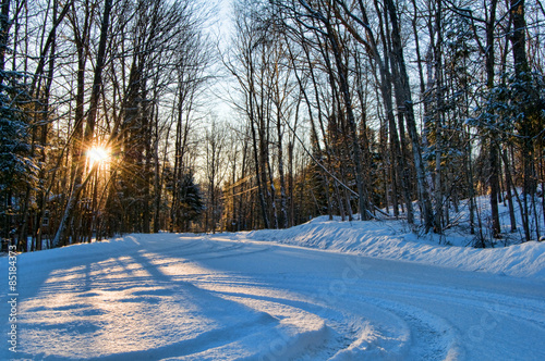 Fotoroleta śnieg las droga pejzaż słońce