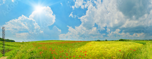 Fototapeta widok panoramiczny wieś pole