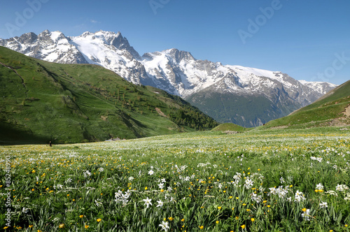 Plakat natura góra pastwisko krajobraz