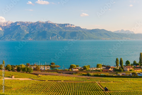 Plakat szwajcaria góra rolnictwo niebo krajobraz