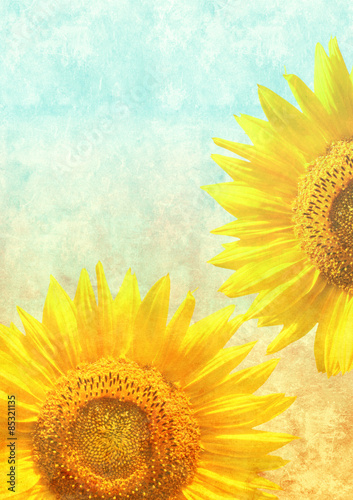 Plakat natura retro słonecznik