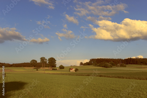 Fotoroleta ścieżka wieś trawa