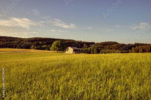 Fotoroleta łąka pole trawa wieś ścieżka