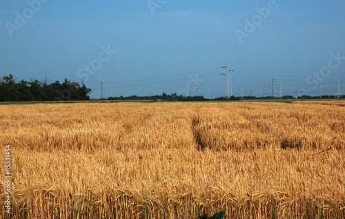 Obraz na płótnie pejzaż wiejski rolnictwo