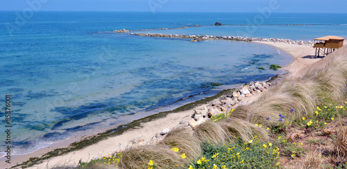 Plakat krajobraz klif morze kwiat lato