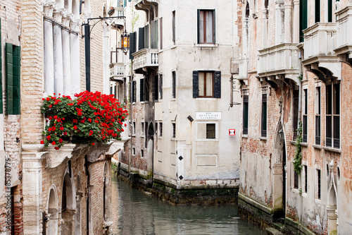 Naklejka kwiat włoski włochy widok architektura