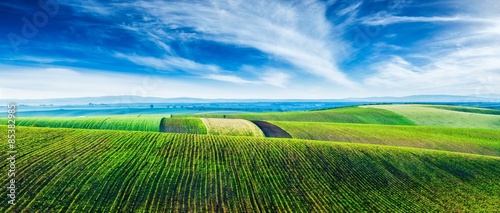 Obraz na płótnie pole wiejski czechy rolnictwo świeży