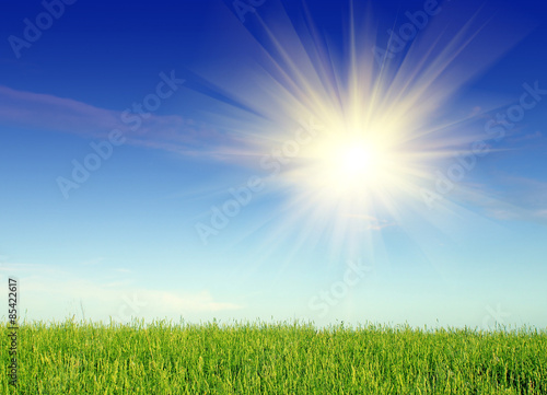 Fototapeta pole niebo spokojny trawa słońce