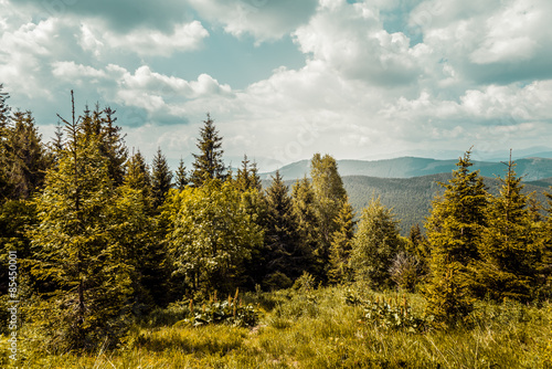 Fotoroleta wzgórze góra trawa natura