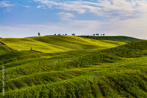 Fototapeta włoski winorośl krajobraz