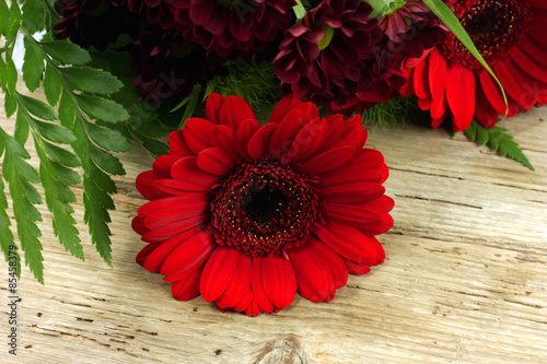 Fototapeta bukiet kwiat czerwony drewno tło