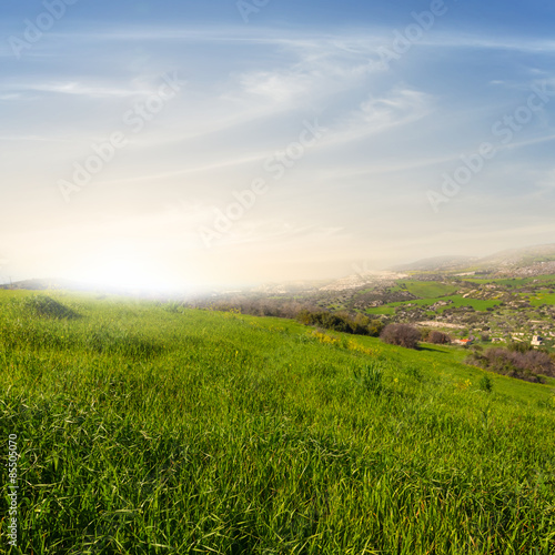 Fototapeta roślina niebo panoramiczny