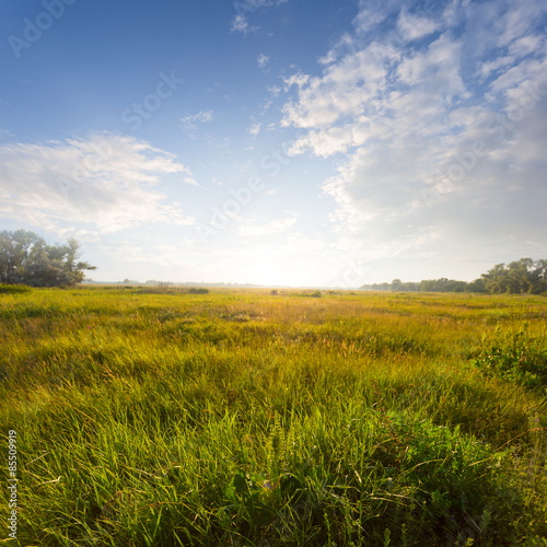 Naklejka natura panoramiczny niebo łąka