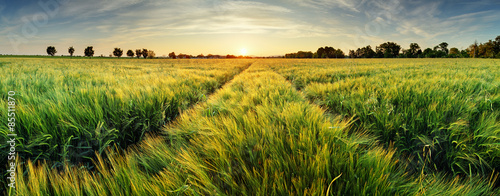 Plakat łąka niebo panoramiczny rolnictwo