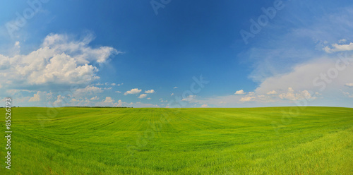Fotoroleta lato wiejski pole trawa