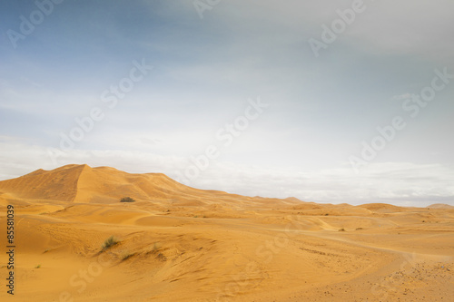 Fotoroleta wydma szczyt oaza panorama