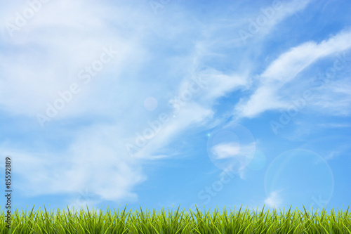 Obraz na płótnie pole niebo wiejski pejzaż
