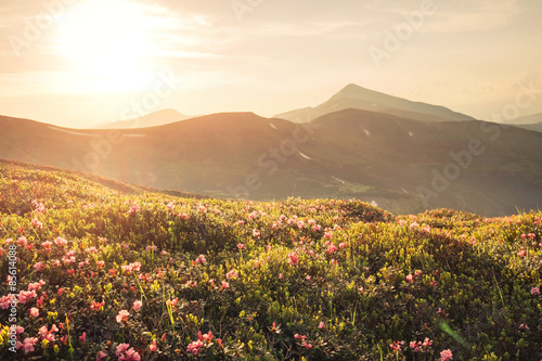 Obraz na płótnie pejzaż panoramiczny góra trawa europa