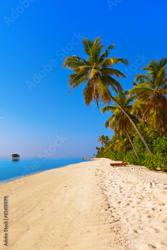 Fotoroleta słońce lato pejzaż wyspa malediwy