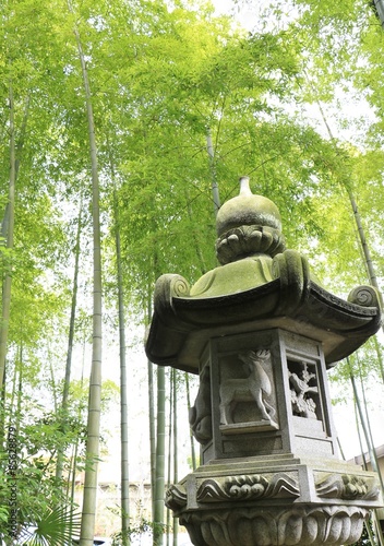 Fotoroleta spokojny krajobraz roślina bambus