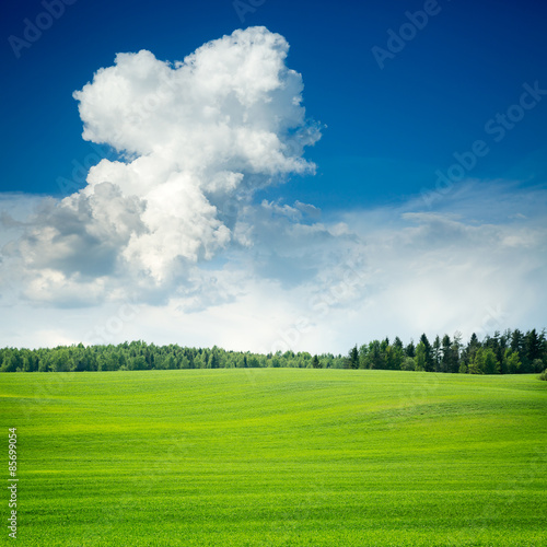 Fototapeta natura piękny trawa wiejski pastwisko
