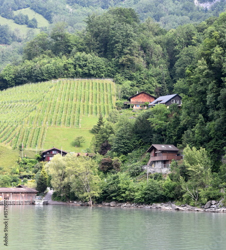 Plakat woda lato wzgórze szwajcaria krajobraz