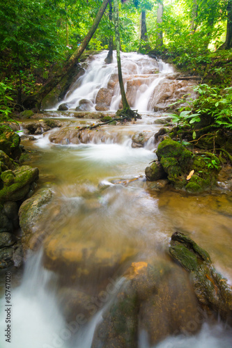Fotoroleta las piękny woda świeży