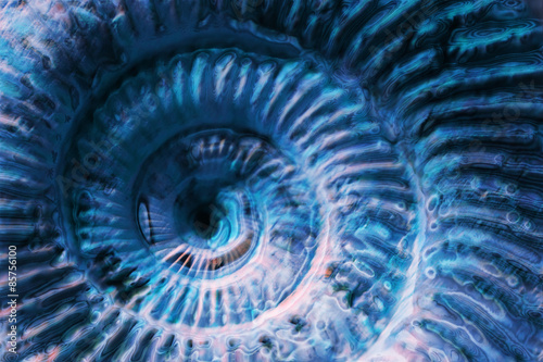 Naklejka morze sztuka spirala natura wzór