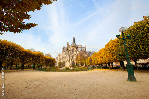 Fototapeta Notre Dame