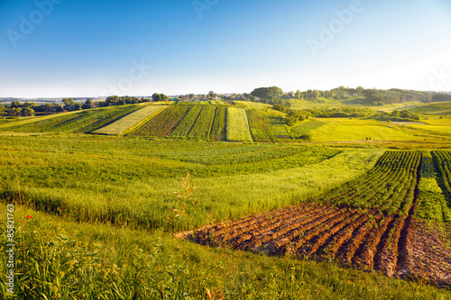 Fotoroleta niebo natura pejzaż rolnictwo